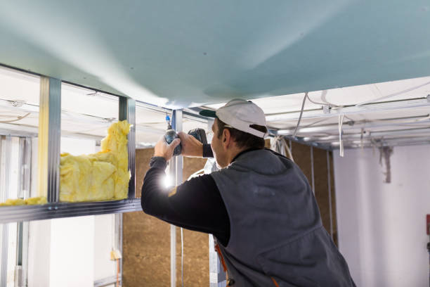 Best Commercial Insulation in Bladensburg, MD